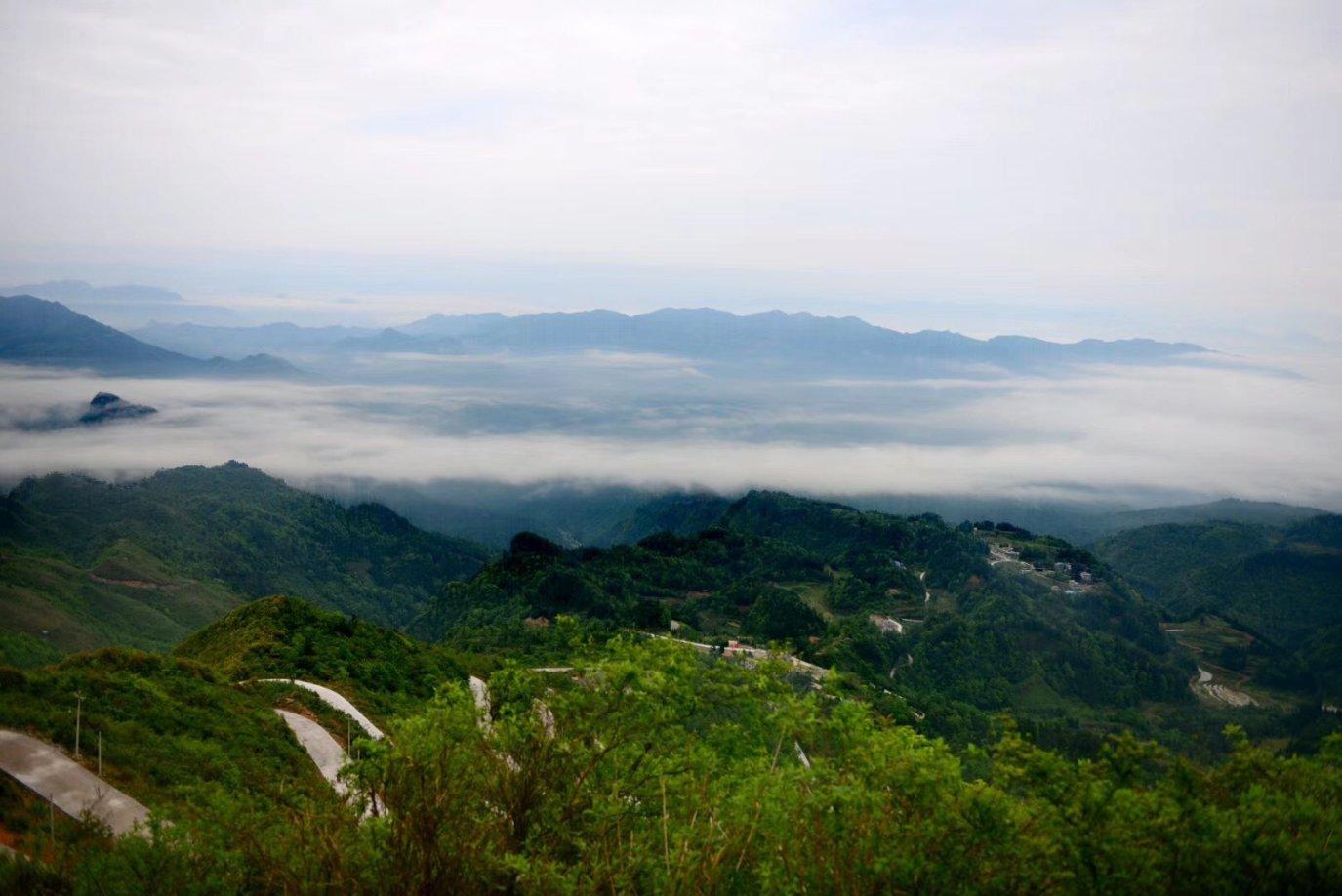 高速服务区内过路旅客遭挟持，他们三人出手救人
